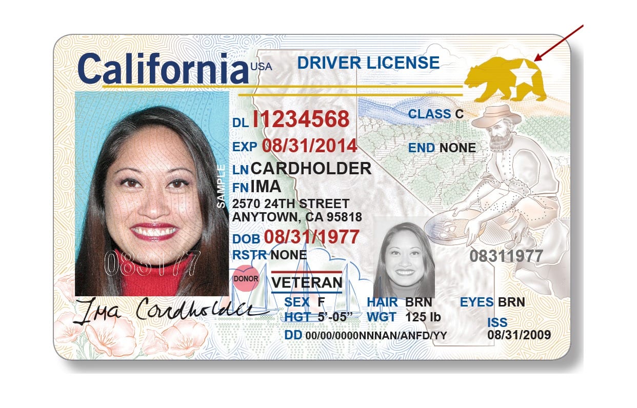 Sample California driver license